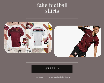 fake Salernitana football shirts 23-24
